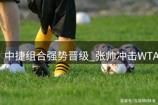 中捷组合强势晋级 张帅冲击WTA多伦多站双打决赛席位